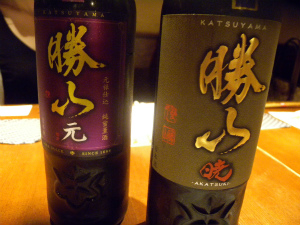 20120070508 (19).jpg