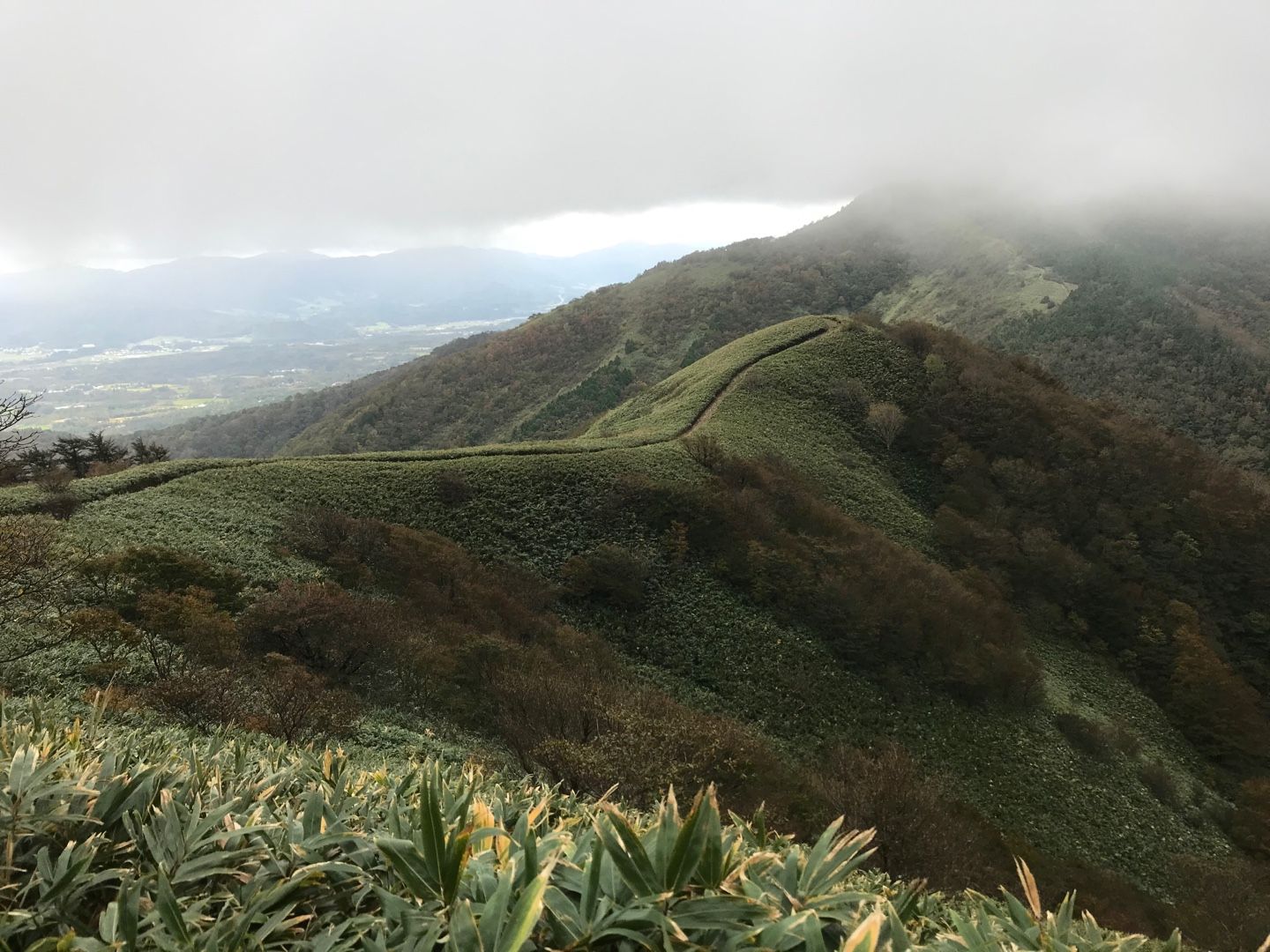 下蒜山中蒜山登山 | のん木ぶろぐ - 楽天ブログ
