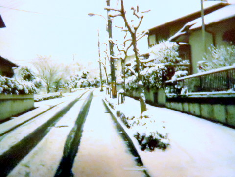 1996年1月の雪