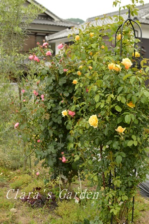 DSC_0034.JPG