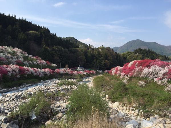 rblog-20150430213008-01.jpg