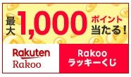 rakoo.start