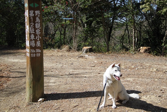 観察小屋.JPG