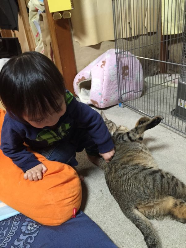 rblog-20151012222301-00.jpg