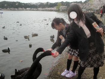 2013/03/30(5)