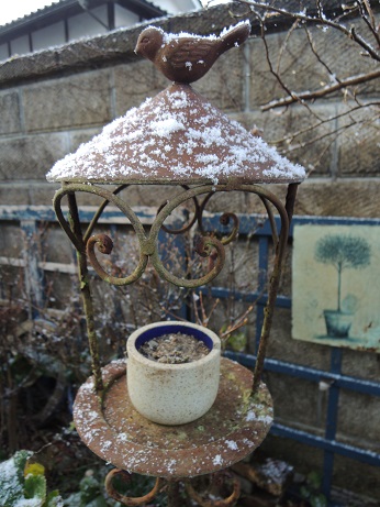 DSCN6670.JPG