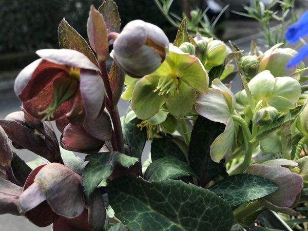 rblog-20180408160230-08.jpg