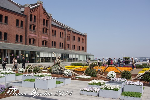 Flower Garden 2014