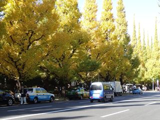 DSC01050_R.JPG