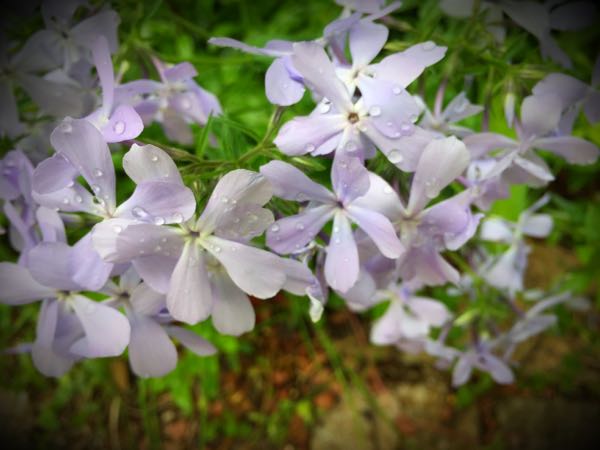 rblog-20160426005035-01.jpg