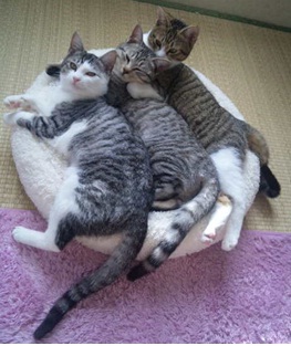 20120709_4.jpg