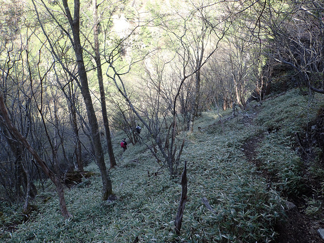 resize0065.jpg