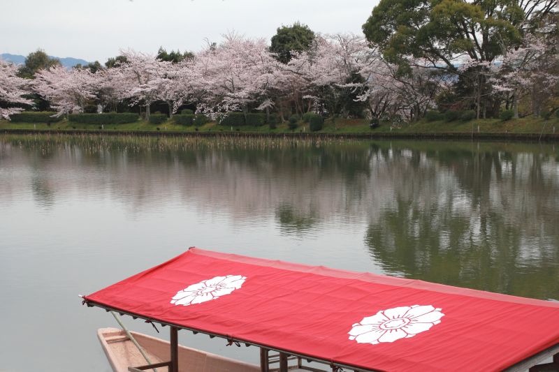 大沢池_003.jpg