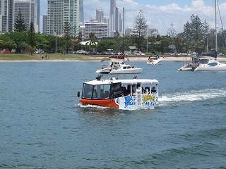 IMG_5317.jpg