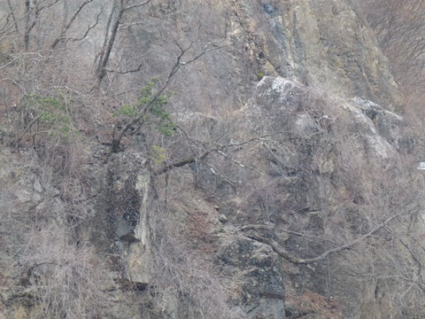 P1050026.JPG