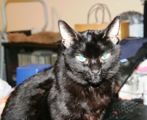 20130403ﾅﾅ02.jpg