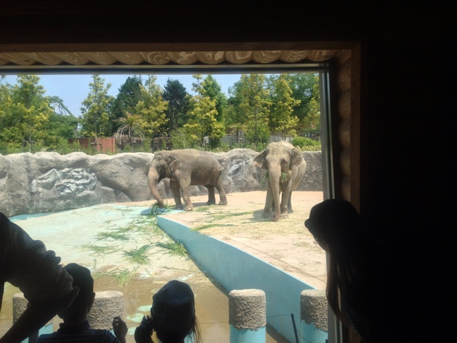 rblog-20130504200753-01.jpg