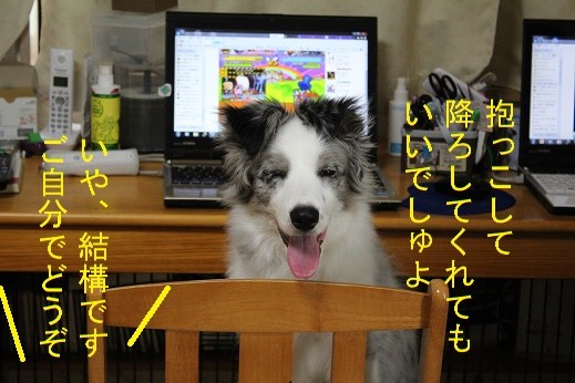 即答