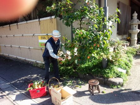 IMG_20141029_101518-p.jpg