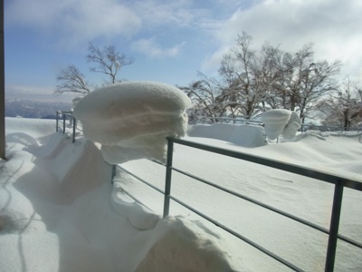 柵の上の雪.JPG