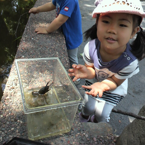 2012052710270000.JPG