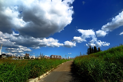 IMG_0151a.jpg