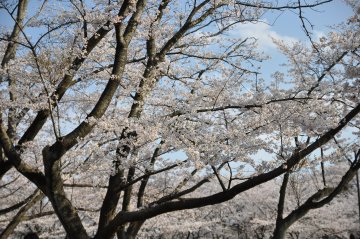 DSC_1888.JPG