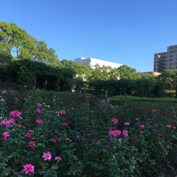 rblog-20180920153823-00.jpg