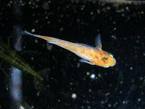 IMG_0680.JPG