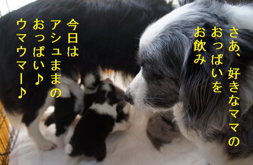 ママたちは呑気