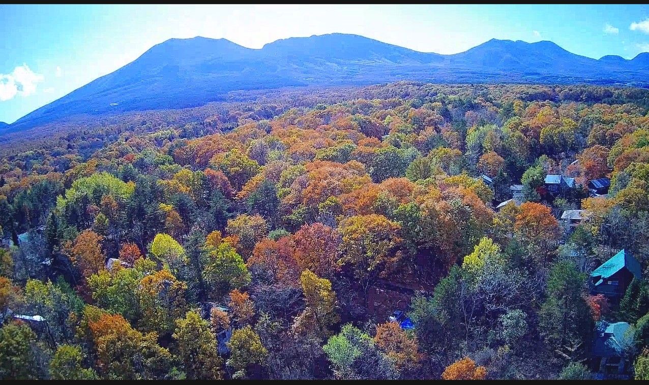 ドローン空撮 北軽井沢の素晴らしい紅葉を空撮 ２０１９年１１月４日 山と空が友だち ドローンで空撮 楽天ブログ