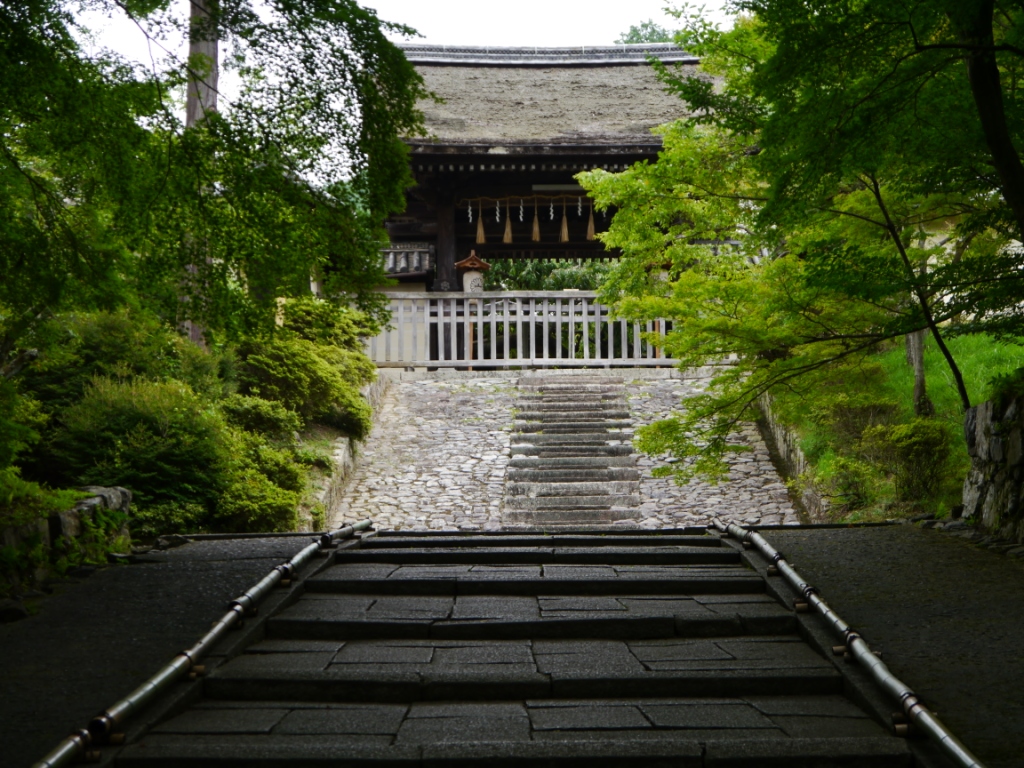 P1080289.JPG