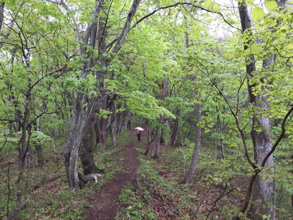 rblog-20170522172357-10.jpg