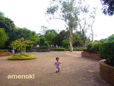 brog6.jpg