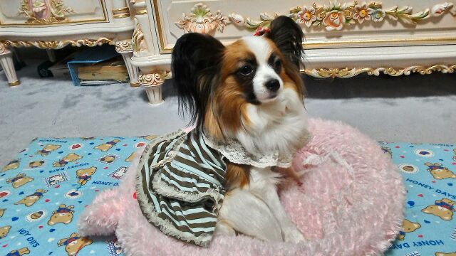 rblog-20141205201019-00.jpg