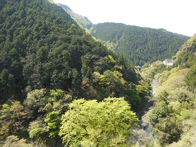 見渡す限り山.jpg