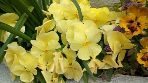 rblog-20180407095417-01.jpg