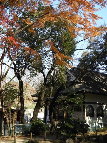 芝公園＆東京タワー