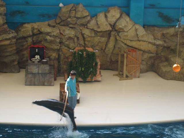 IMG_2335.jpg