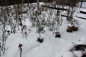雪の庭６.jpg