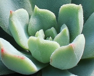 IMG_0400 - コピー.jpg