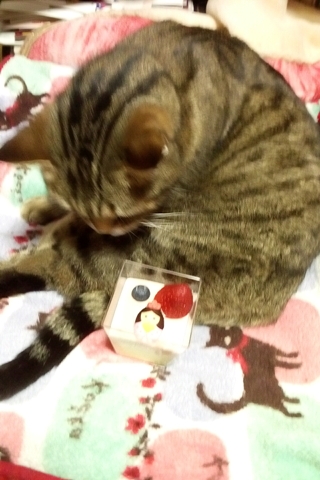 2016ひなまつり3