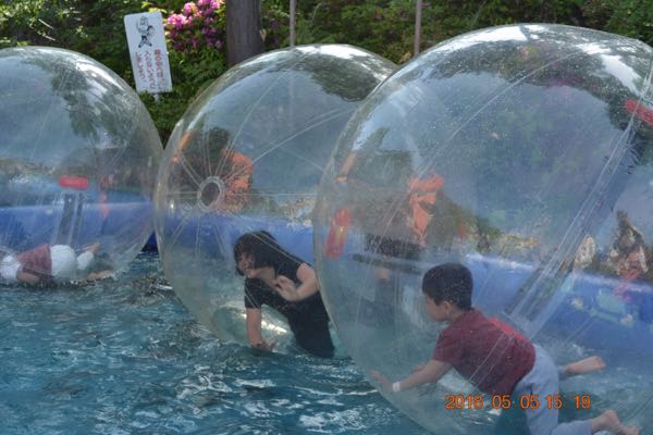 rblog-20180506213525-06.jpg
