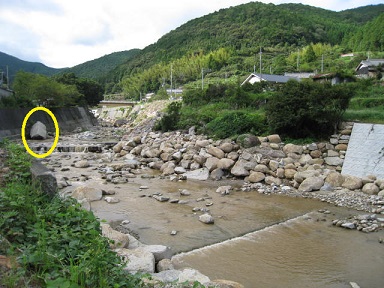 IMG_7693 縮小 - コピー.jpg