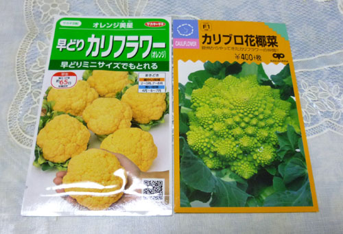 カリフラワー.jpg