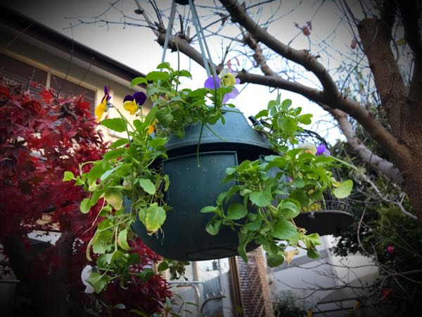 rblog-20161128164954-06.jpg