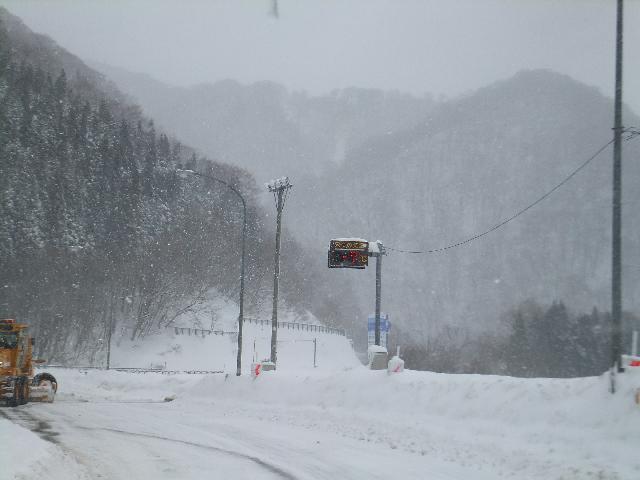 DSCF3373.jpg