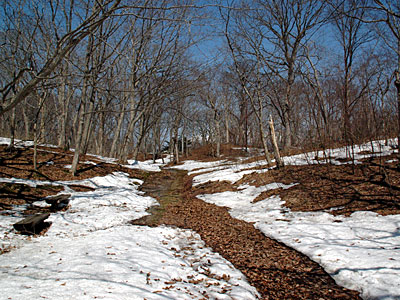 大沼国定公園　散策路　2012年4月