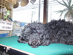 conv0716.JPG