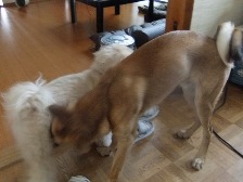 DSCF8523.JPG